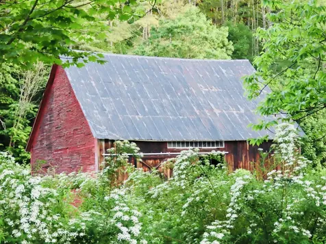 673 Route 121 East Grafton VT 05146