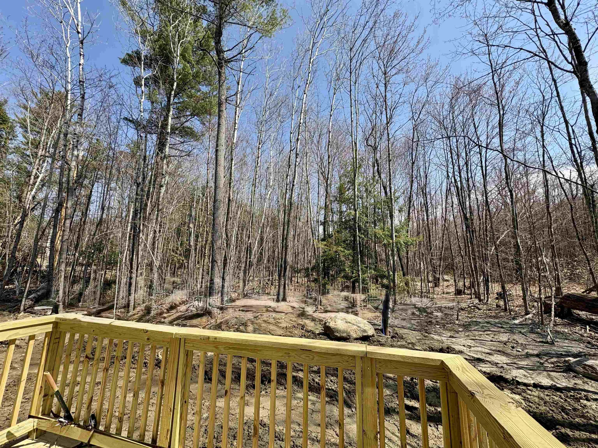 216 Center Road Goshen NH 03752