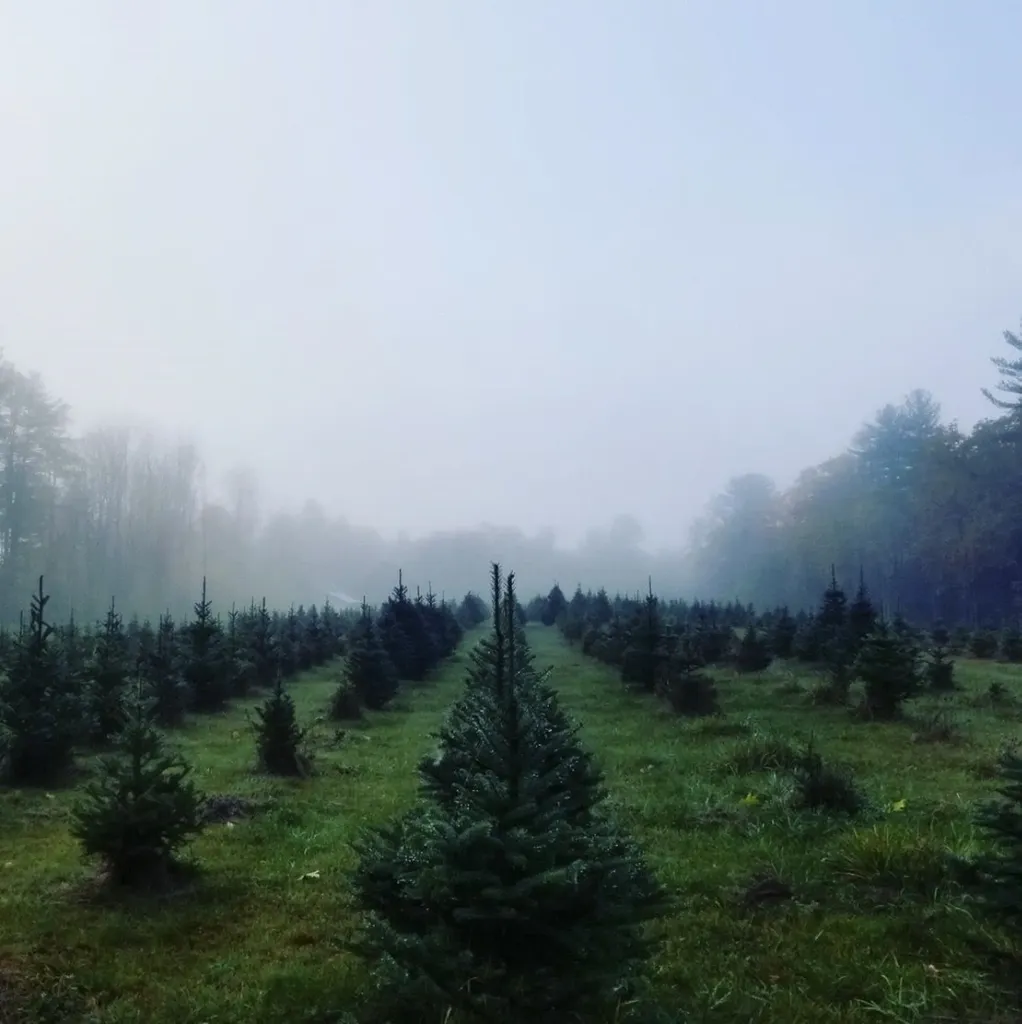 1038 Hopkinton Road Hopkinton NH 03229