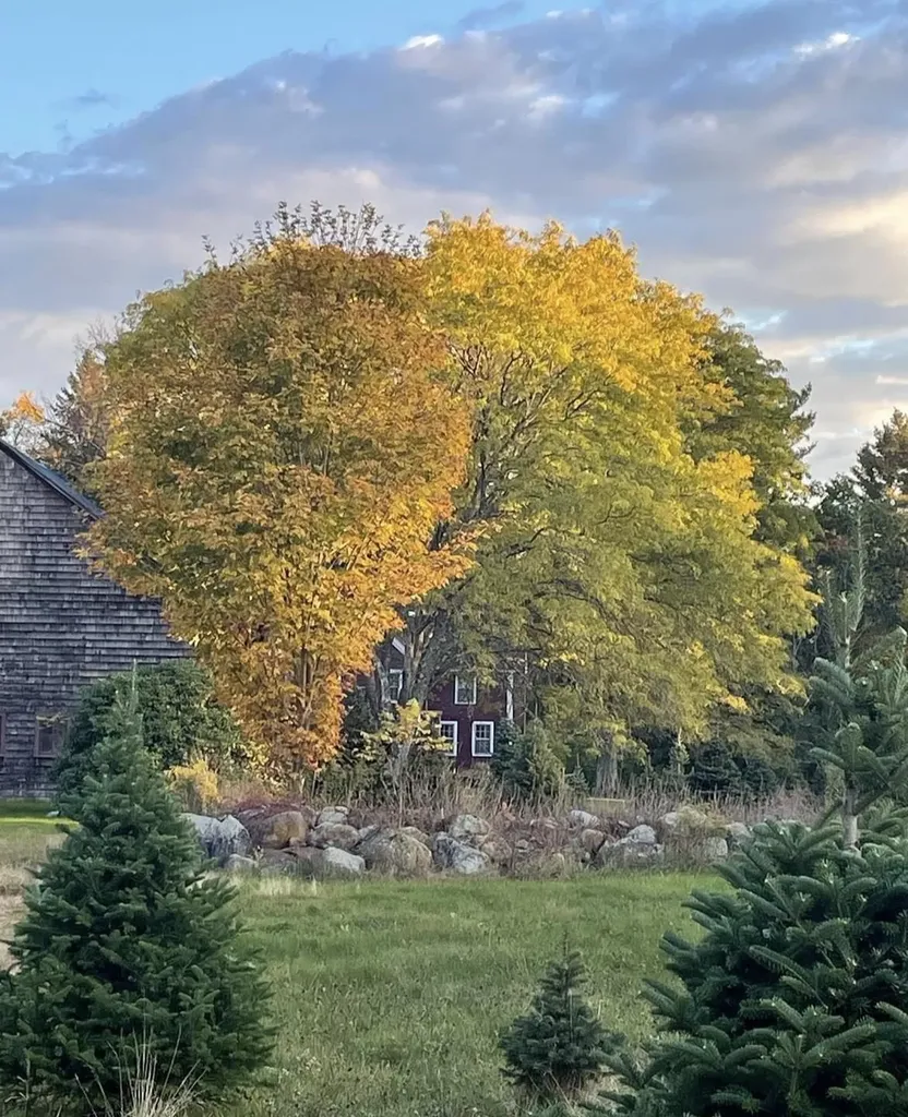 1038 Hopkinton Road Hopkinton NH 03229