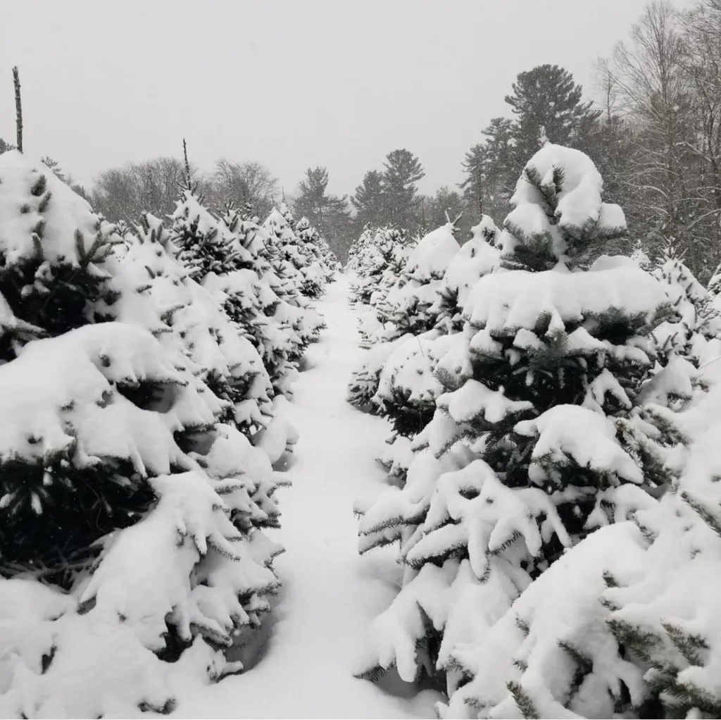 1038 Hopkinton Road Hopkinton NH 03229