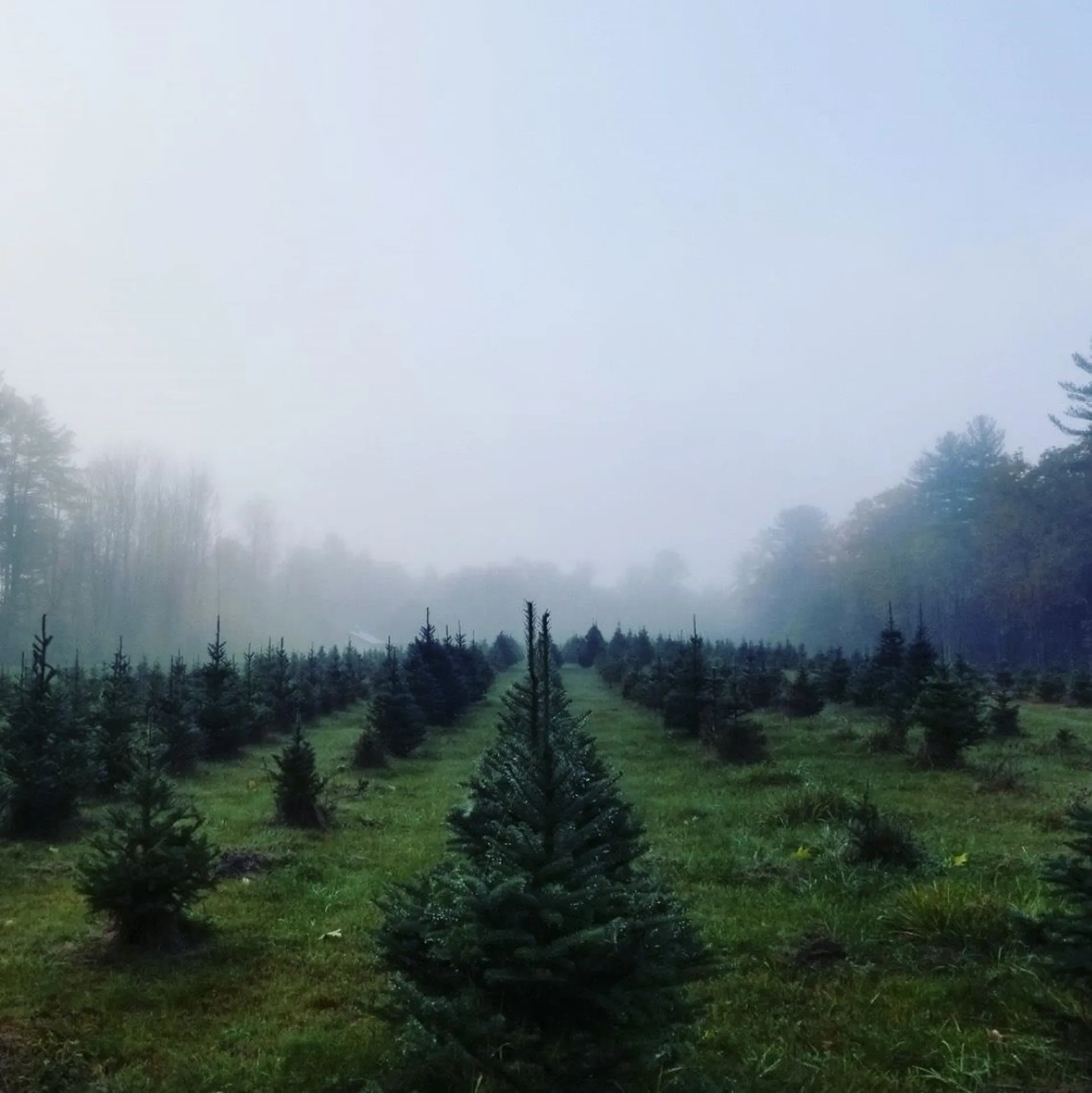 1038 Hopkinton Road Hopkinton NH 03229