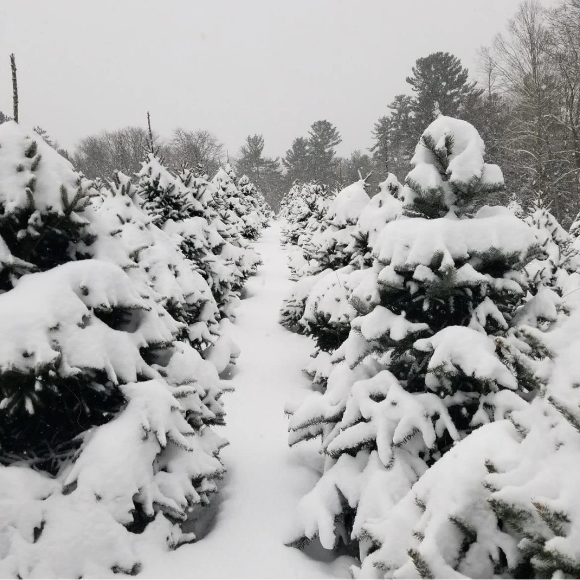 1038 Hopkinton Road Hopkinton NH 03229