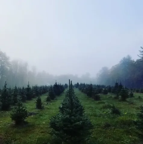 1038 Hopkinton Road Hopkinton NH 03229