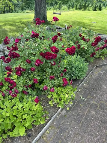 1038 Hopkinton Road Hopkinton NH 03229