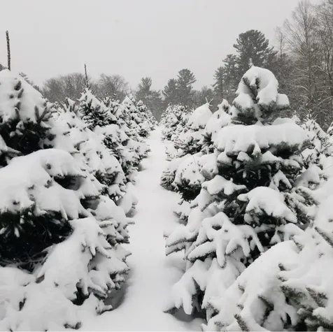 1038 Hopkinton Road Hopkinton NH 03229