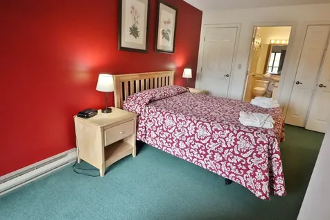 164 Deer Park Drive Woodstock NH 03262