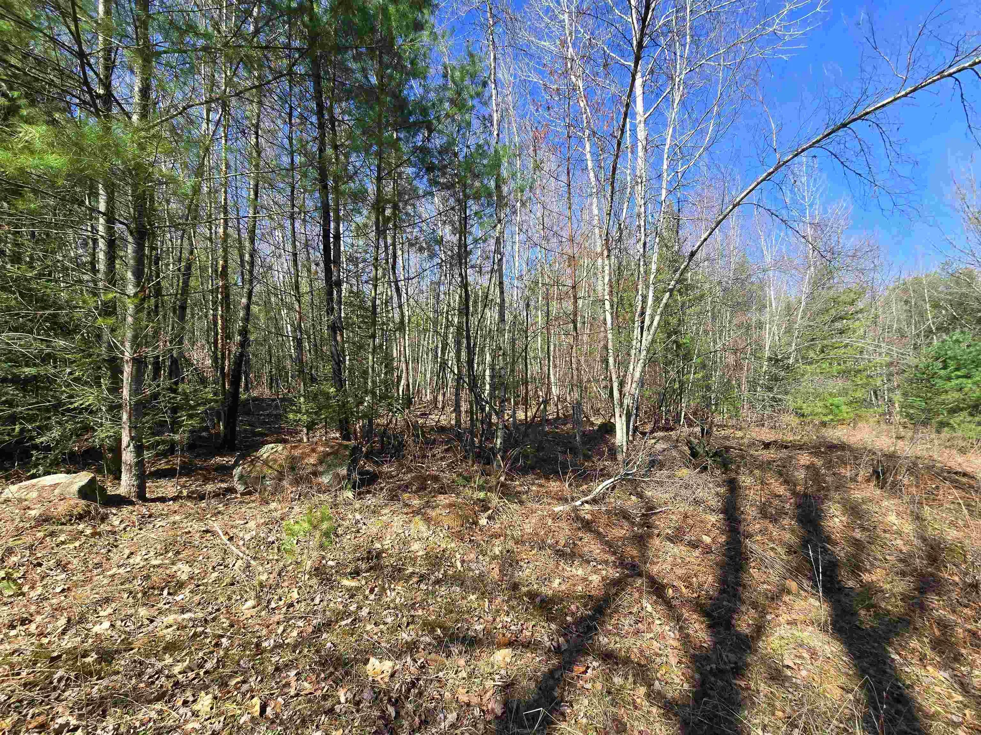 306 Benedicts Way Haverhill NH 03774