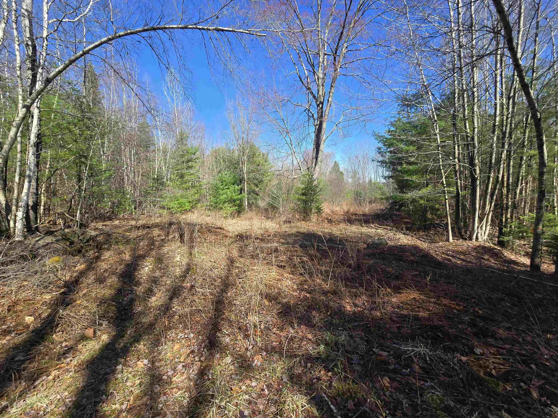 306 Benedicts Way Haverhill NH 03774