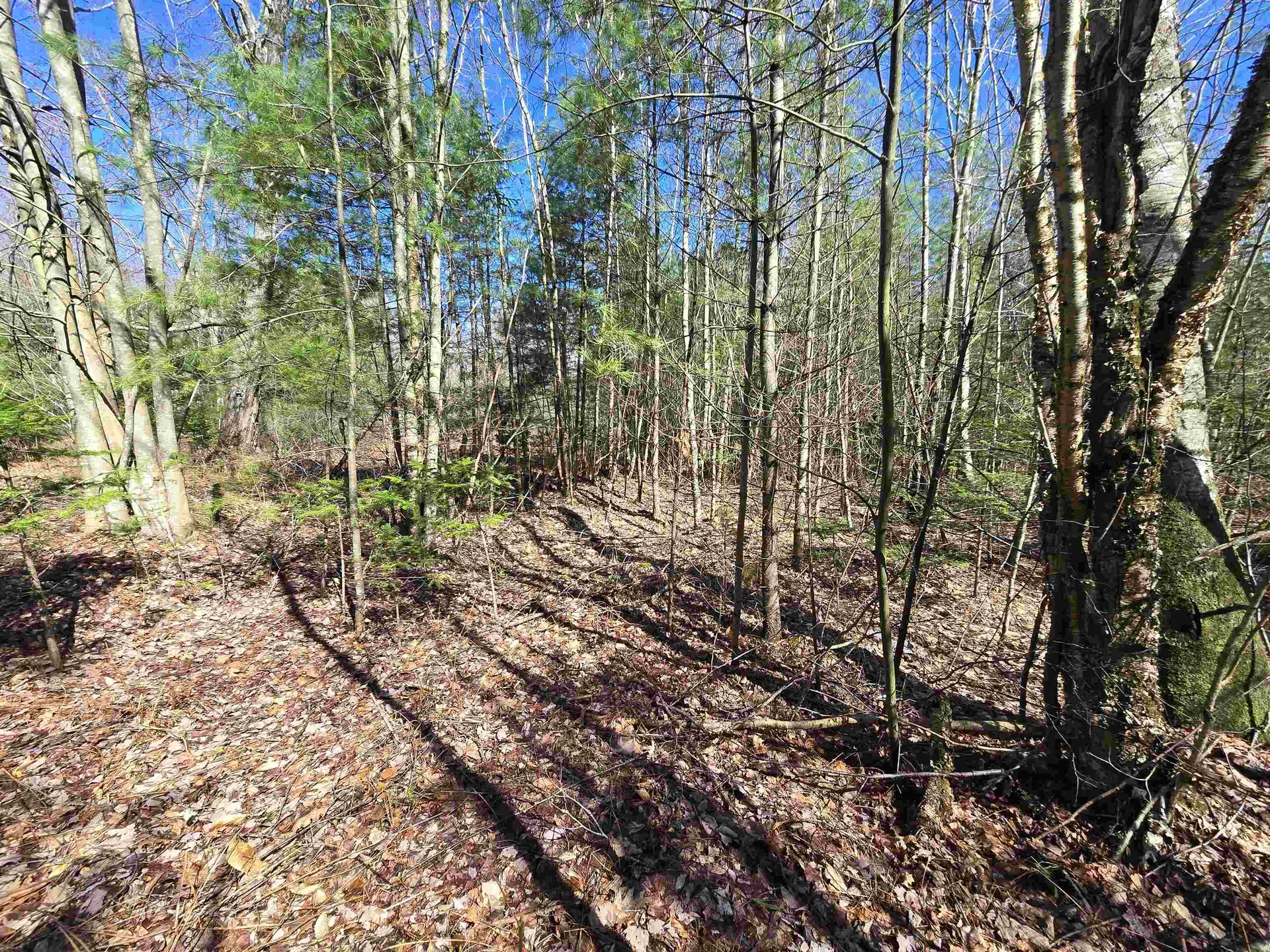 306 Benedicts Way Haverhill NH 03774