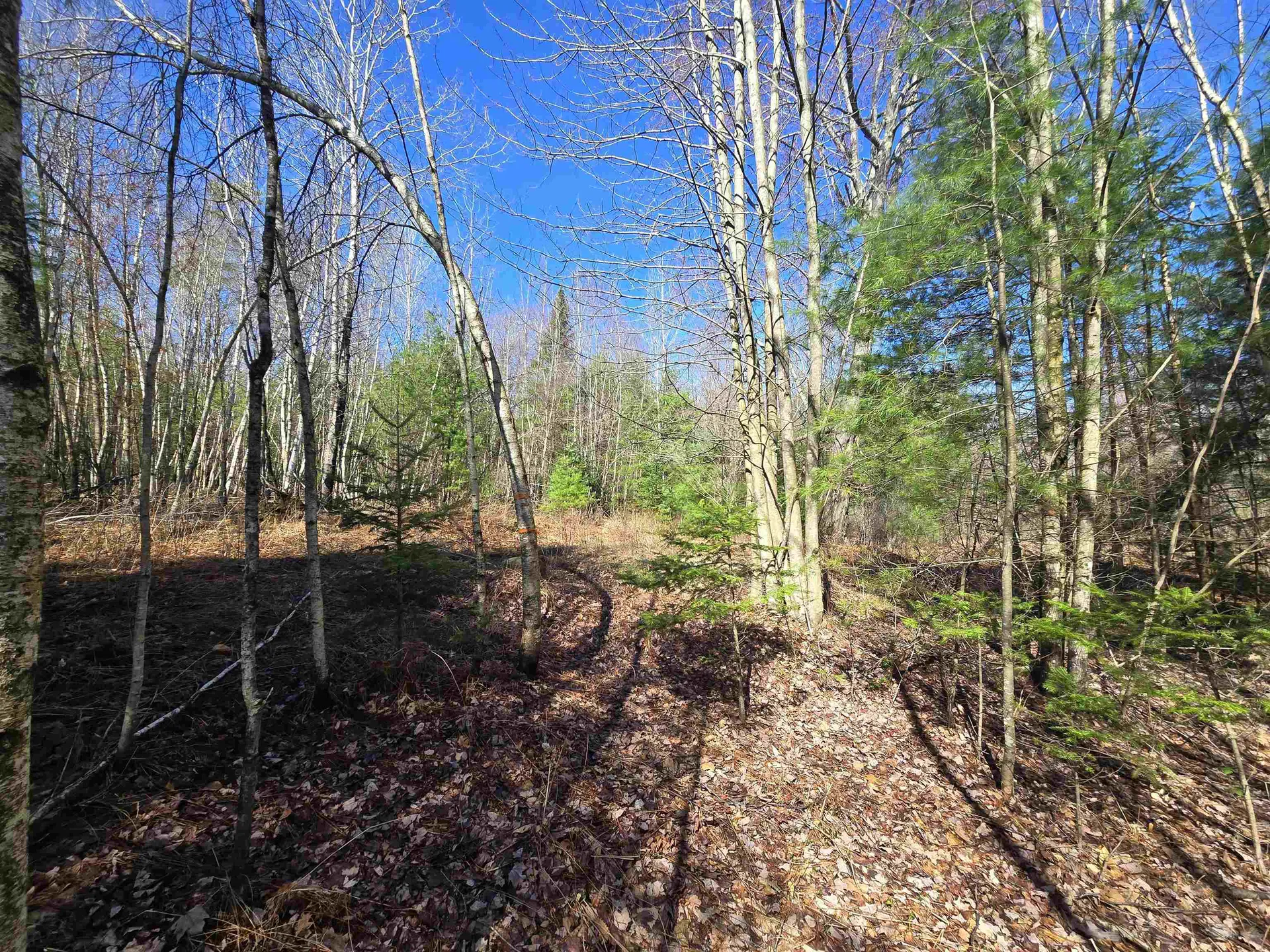 306 Benedicts Way Haverhill NH 03774