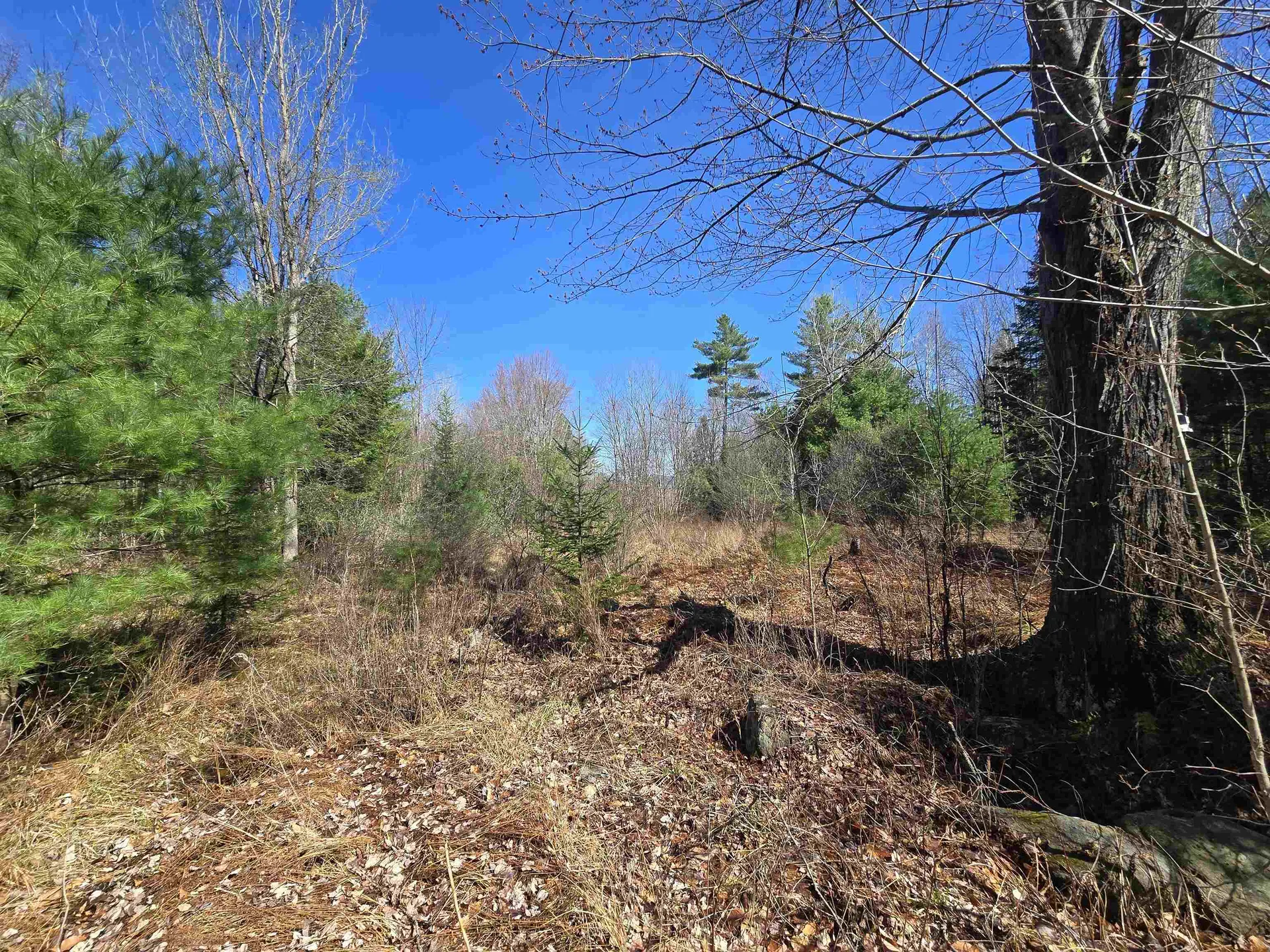 306 Benedicts Way Haverhill NH 03774