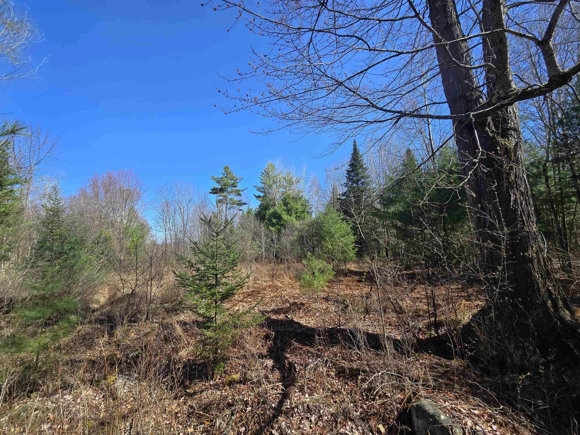 306 Benedicts Way Haverhill NH 03774