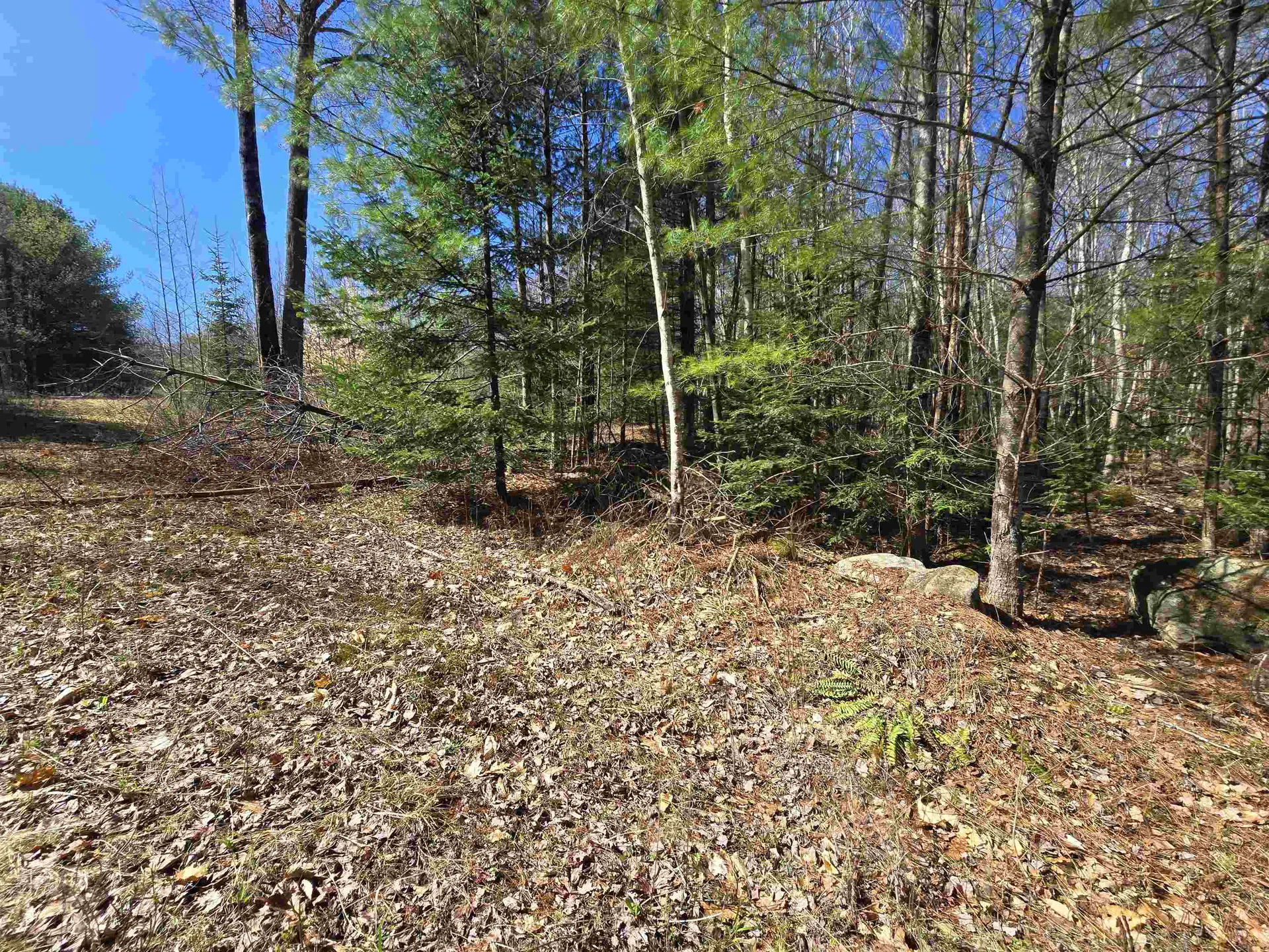 306 Benedicts Way Haverhill NH 03774