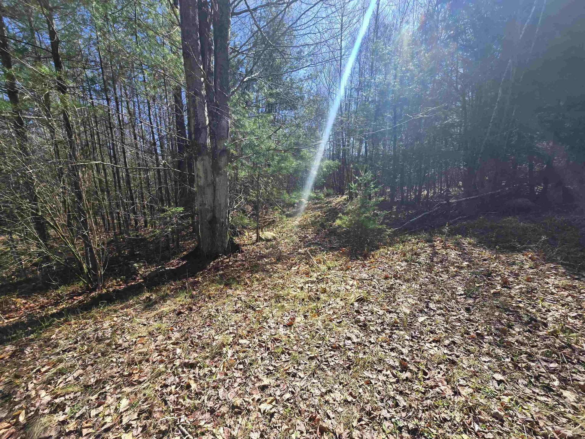 306 Benedicts Way Haverhill NH 03774