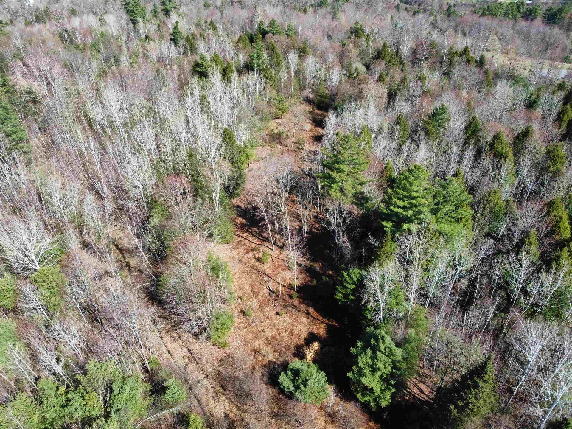 306 Benedicts Way Haverhill NH 03774