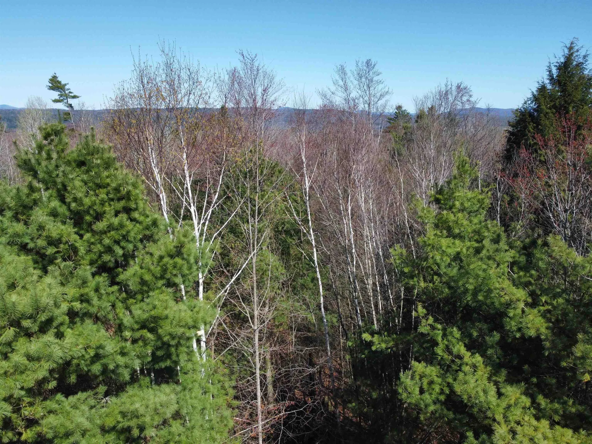 306 Benedicts Way Haverhill NH 03774