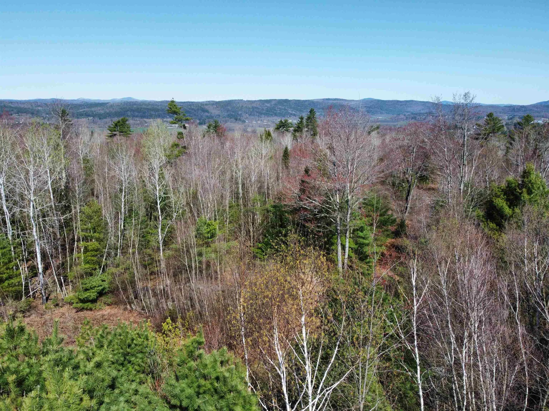 306 Benedicts Way Haverhill NH 03774