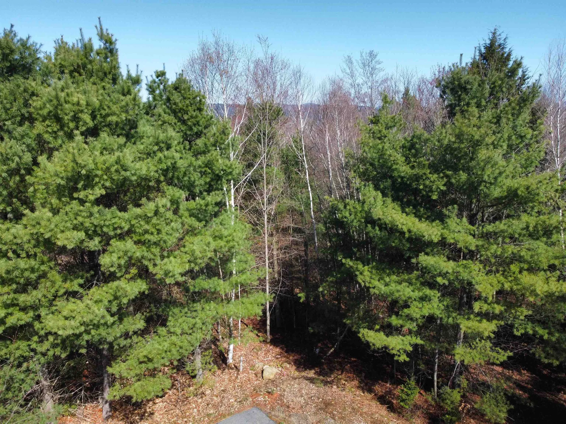 306 Benedicts Way Haverhill NH 03774