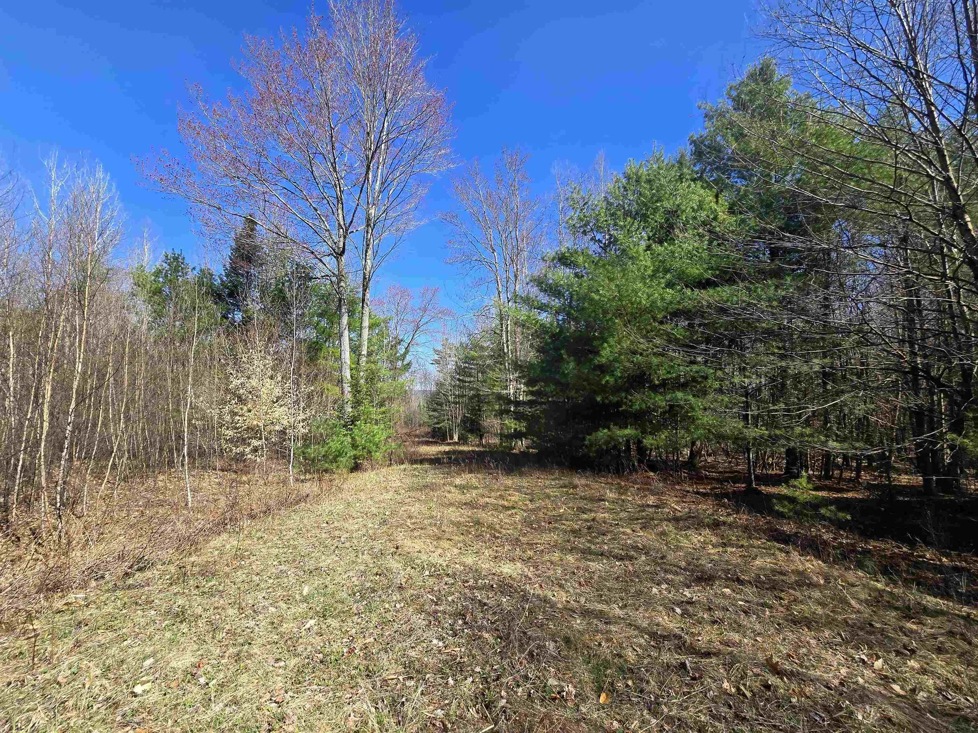 306 Benedicts Way Haverhill NH 03774