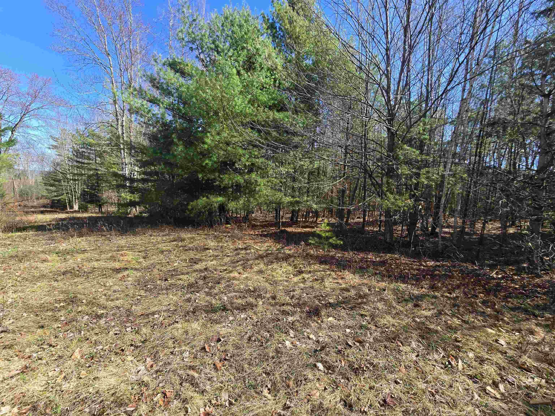 306 Benedicts Way Haverhill NH 03774