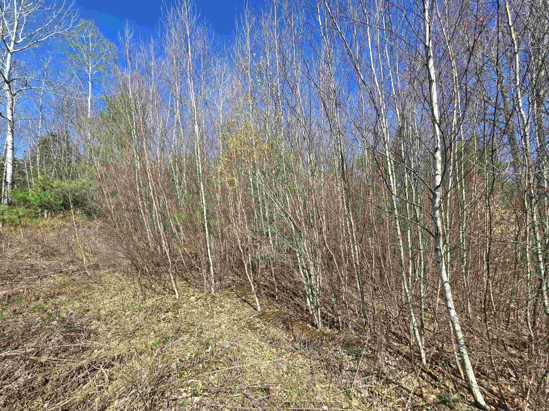 306 Benedicts Way Haverhill NH 03774