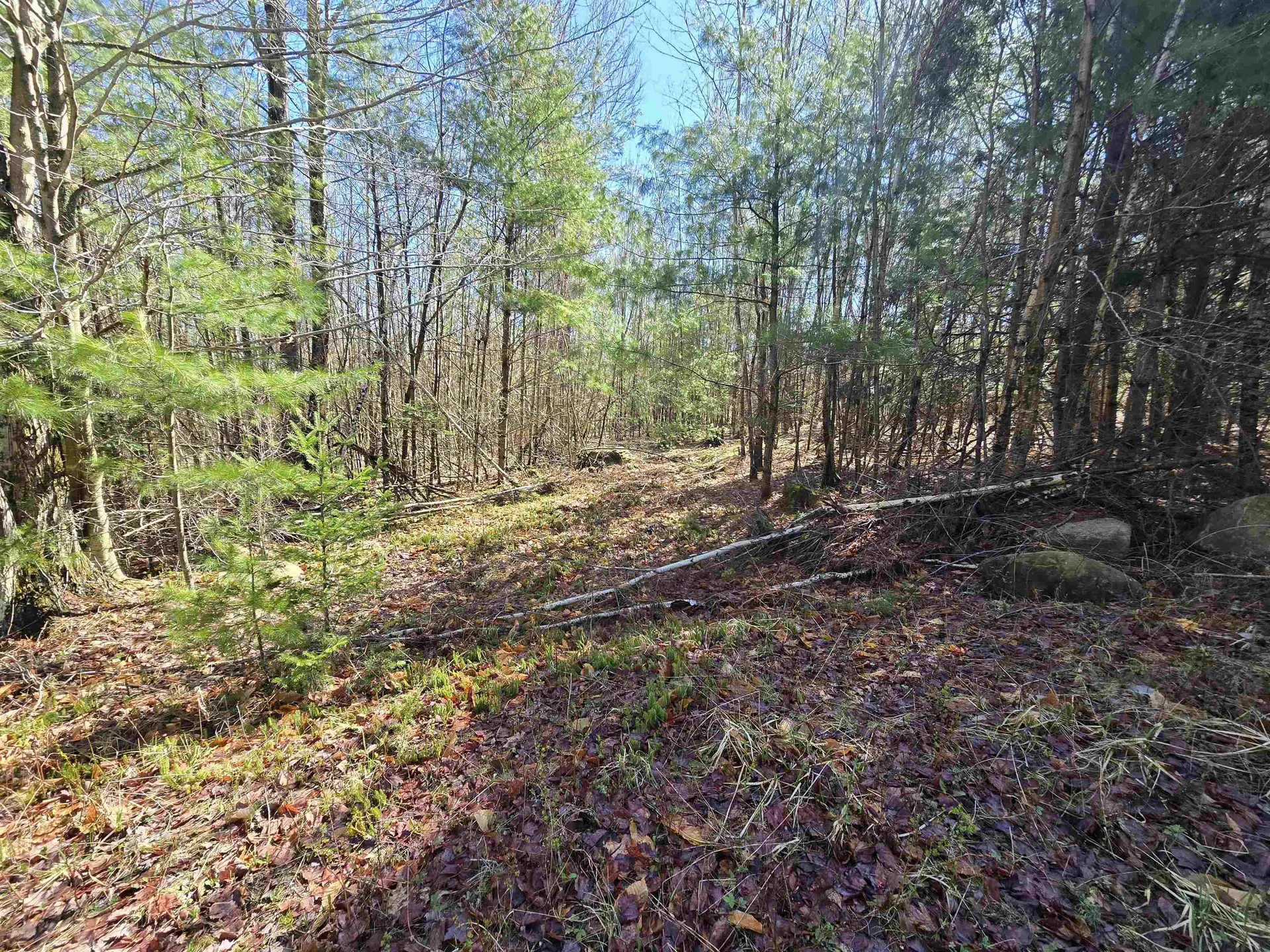 306 Benedicts Way Haverhill NH 03774