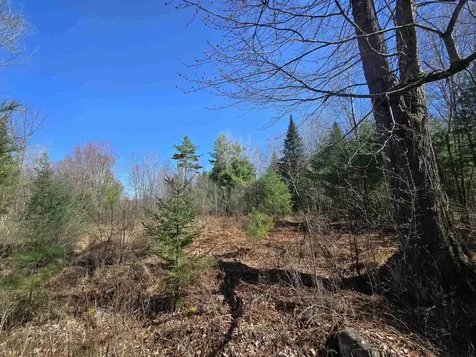 306 Benedicts Way Haverhill NH 03774