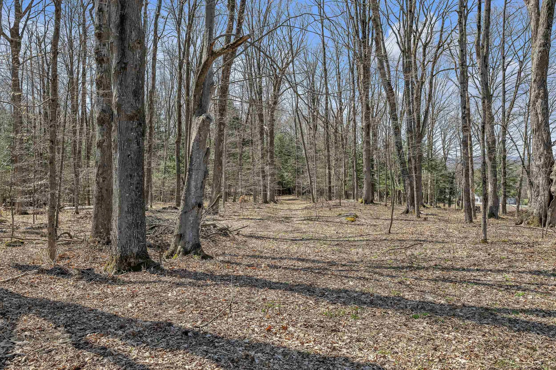 29 Scenic View Drive Barre Town VT 05641