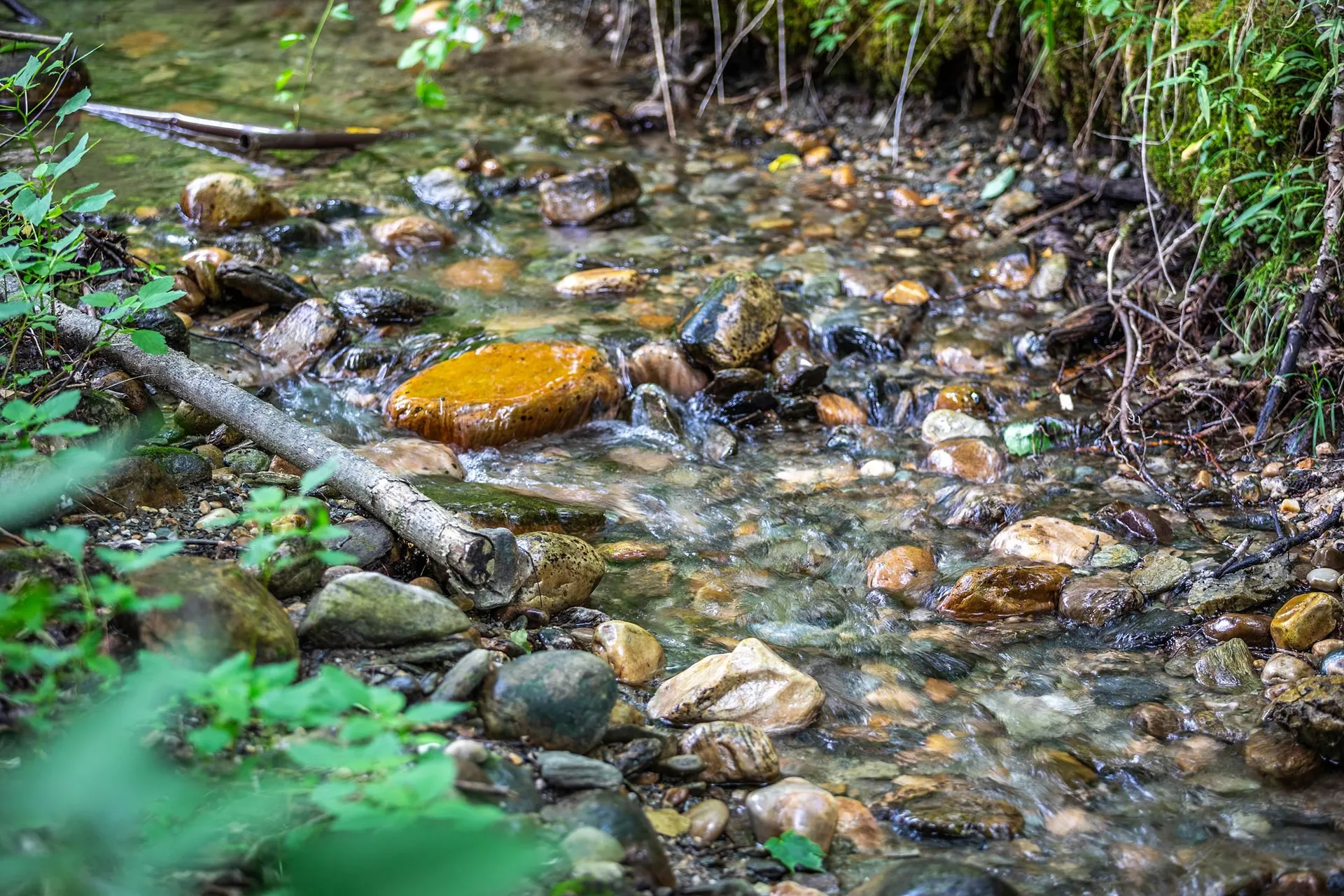 5529 Vt Route 7a Shaftsbury VT 05262