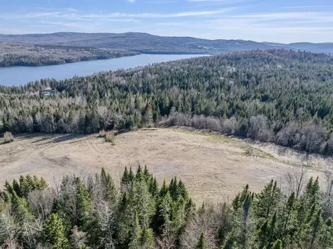 - The Tarns Road Pittsburg NH 03592