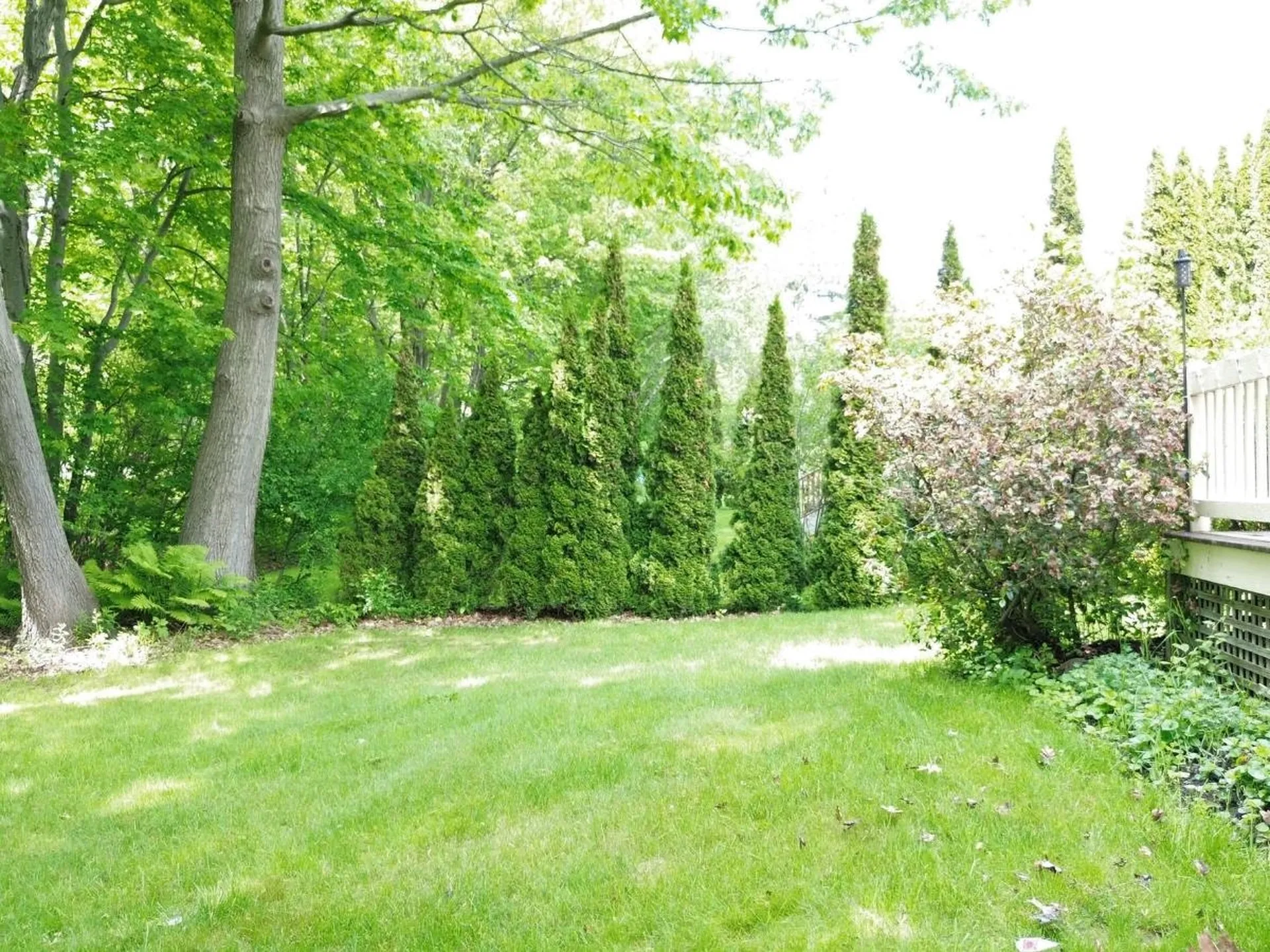 29 Westminster Drive Burlington VT 05408