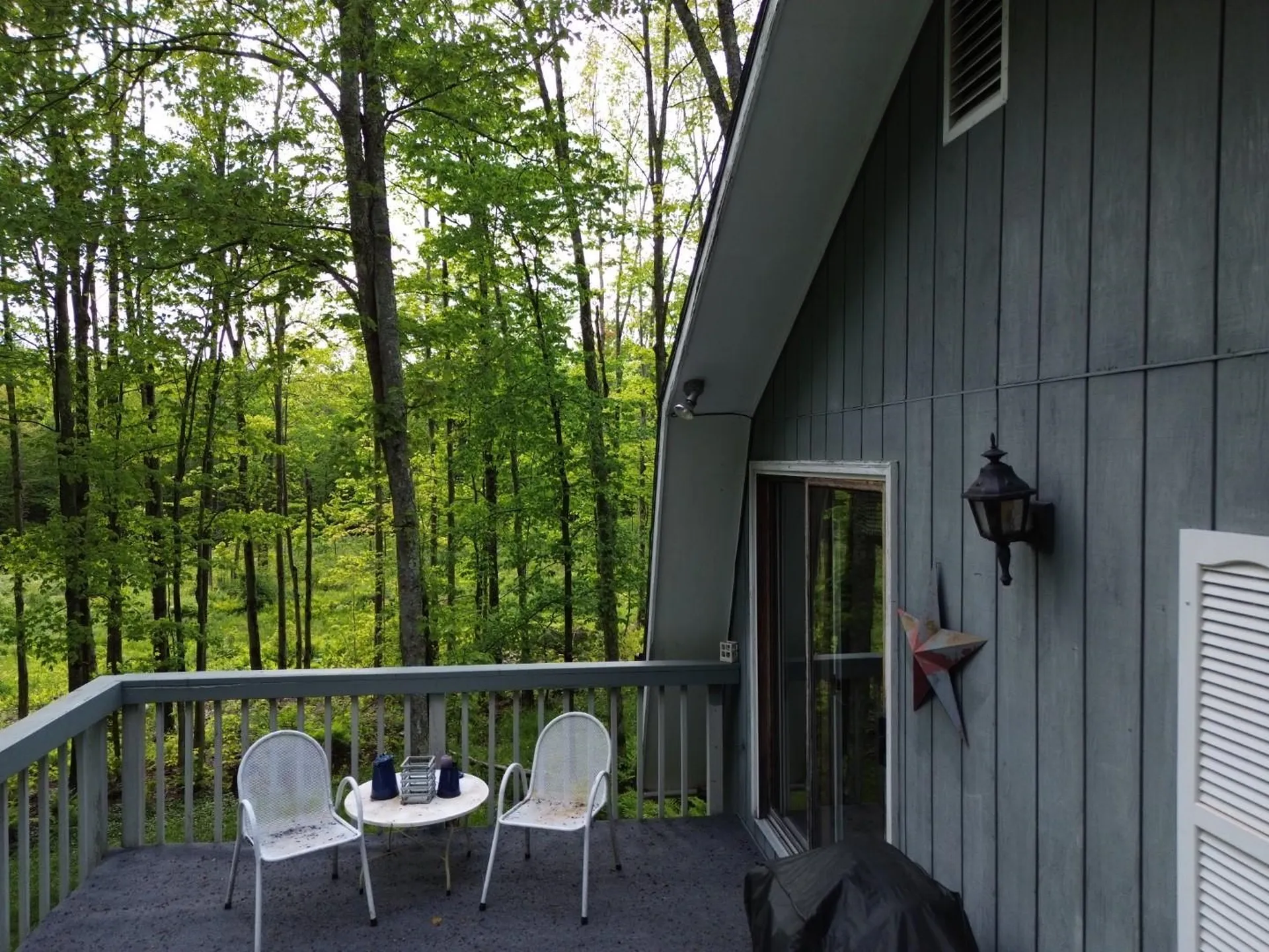 195 Bull Run Road Lincoln VT 05443