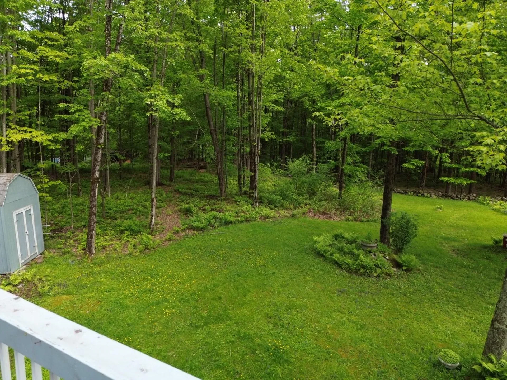 195 Bull Run Road Lincoln VT 05443