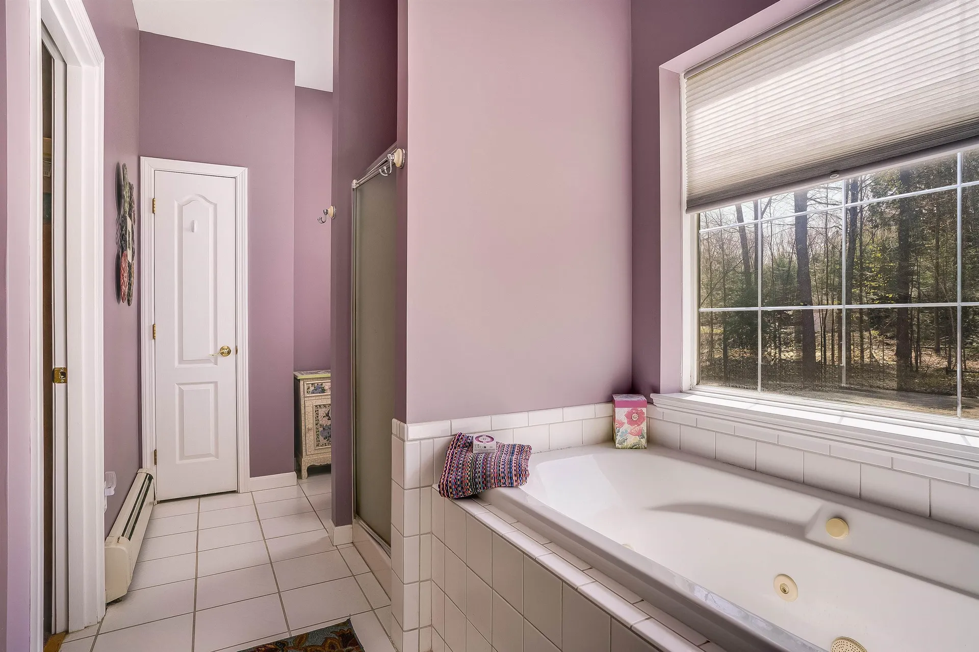 21 Old Fort Lane Dunbarton NH 03046