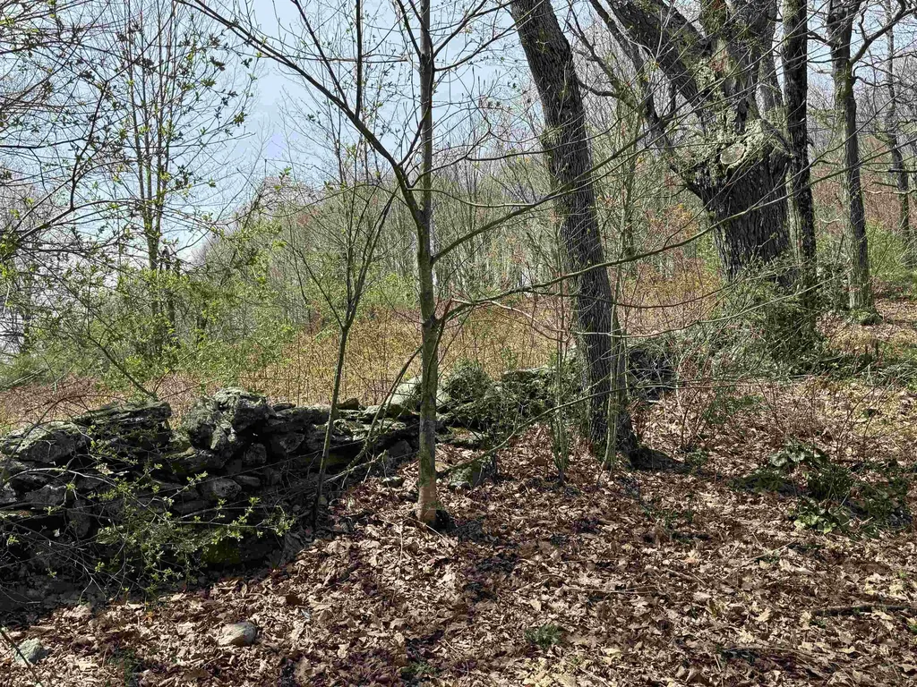 83 Daisy Hollow Road Middletown Springs VT 05757