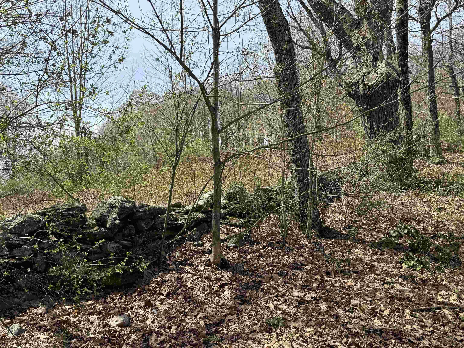 83 Daisy Hollow Road Middletown Springs VT 05757