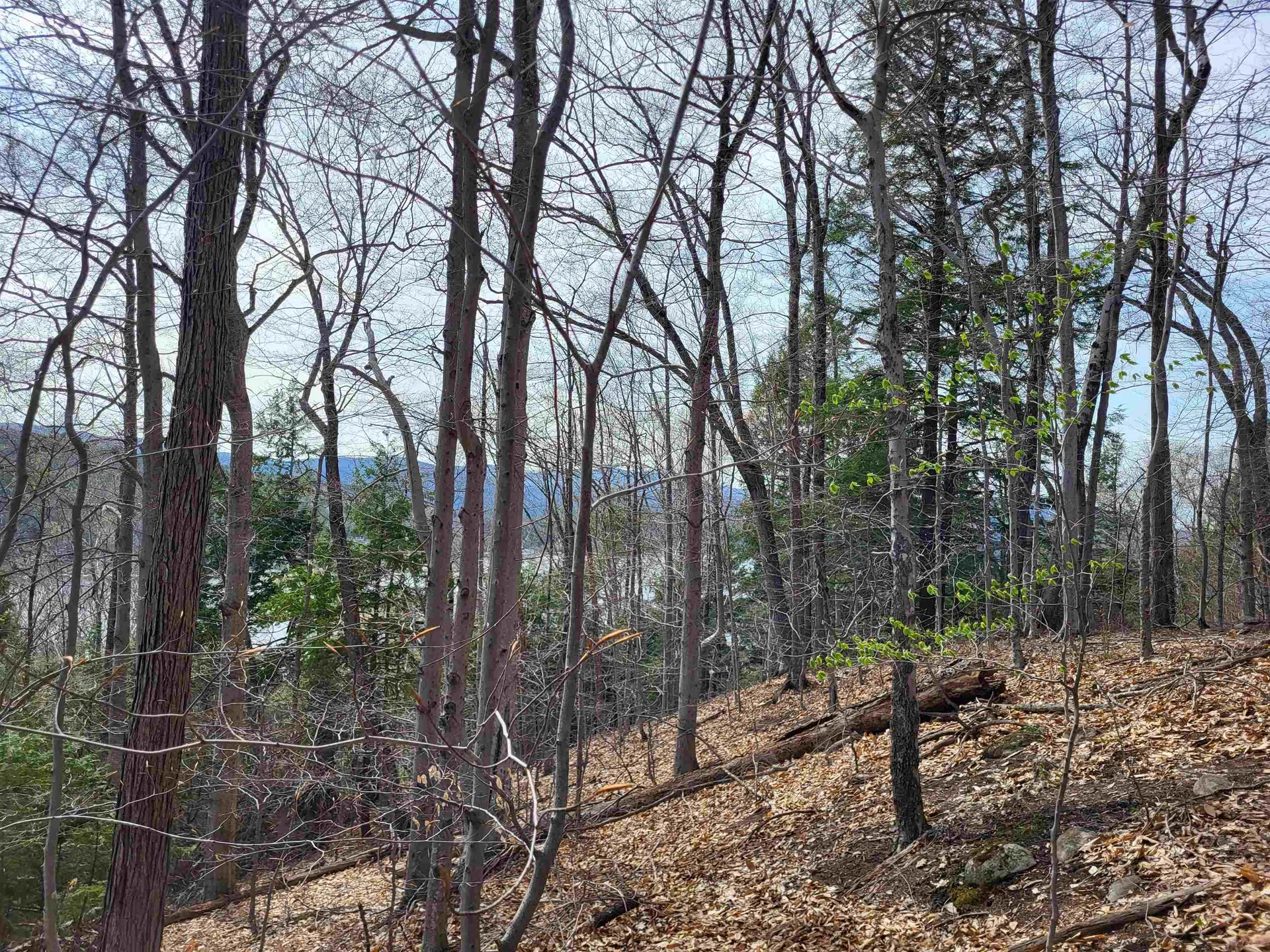 Lot 45 Fox Run Bristol NH 03222