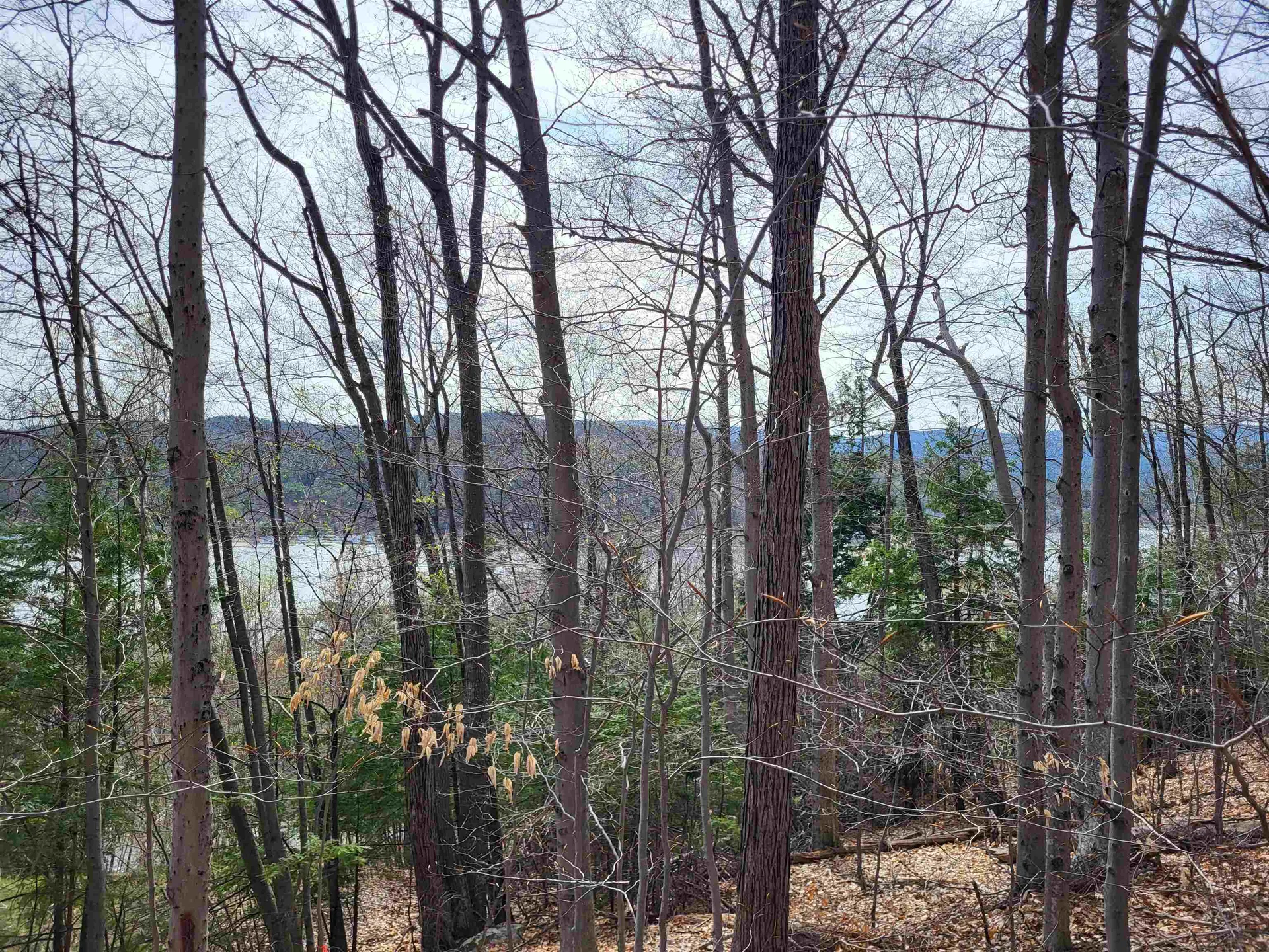 Lot 45 Fox Run Bristol NH 03222