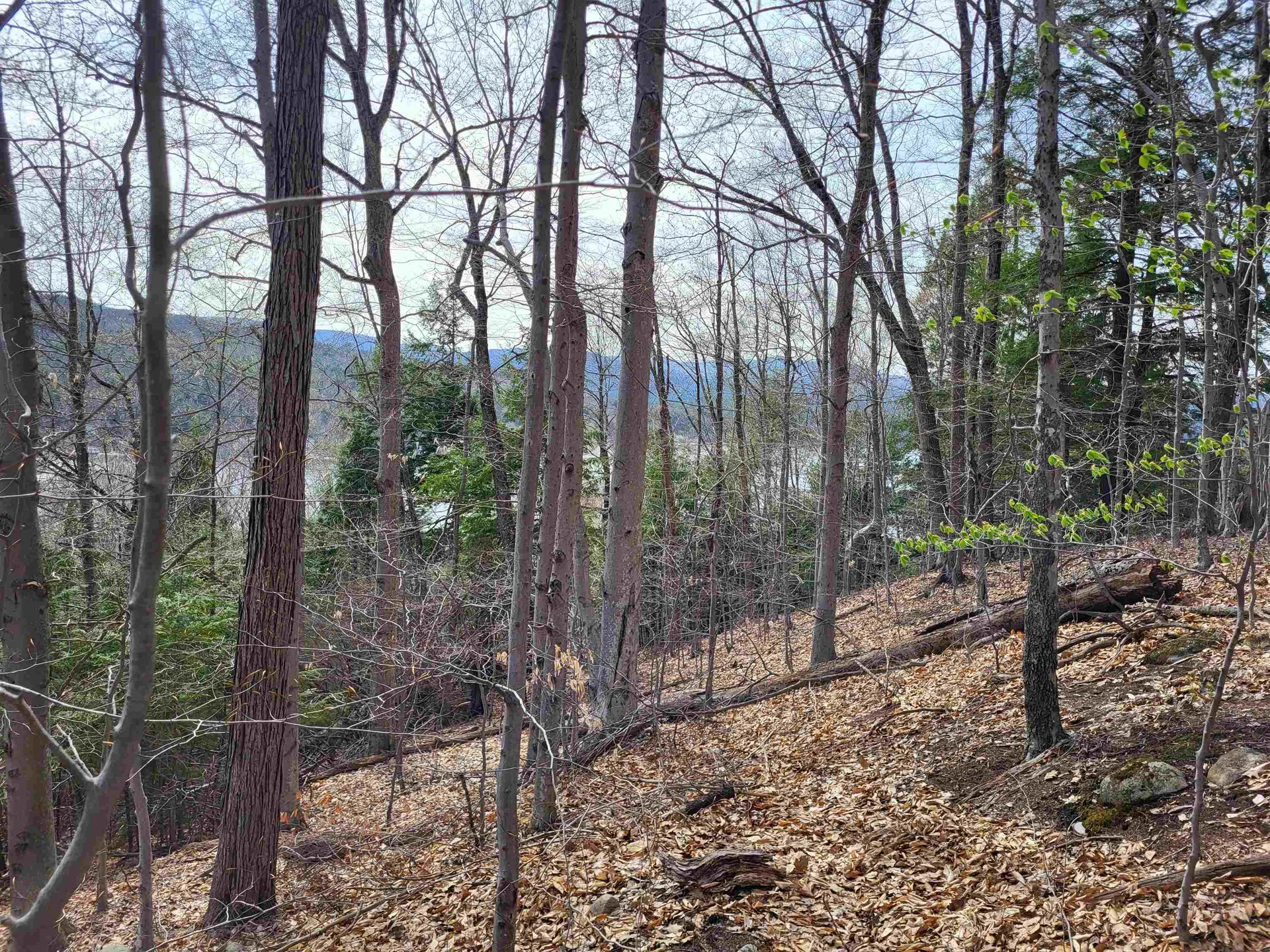 Lot 45 Fox Run Bristol NH 03222