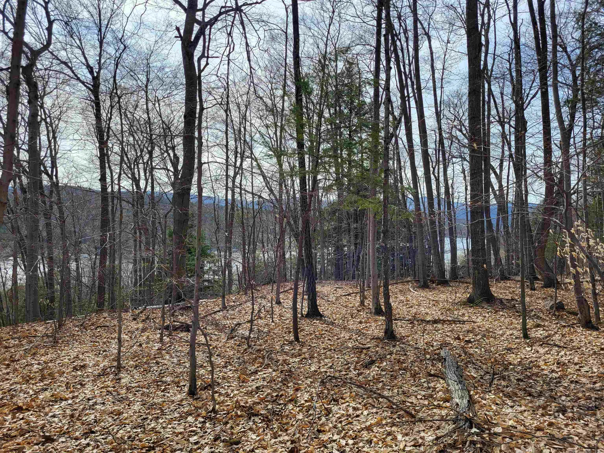 Lot 45 Fox Run Bristol NH 03222