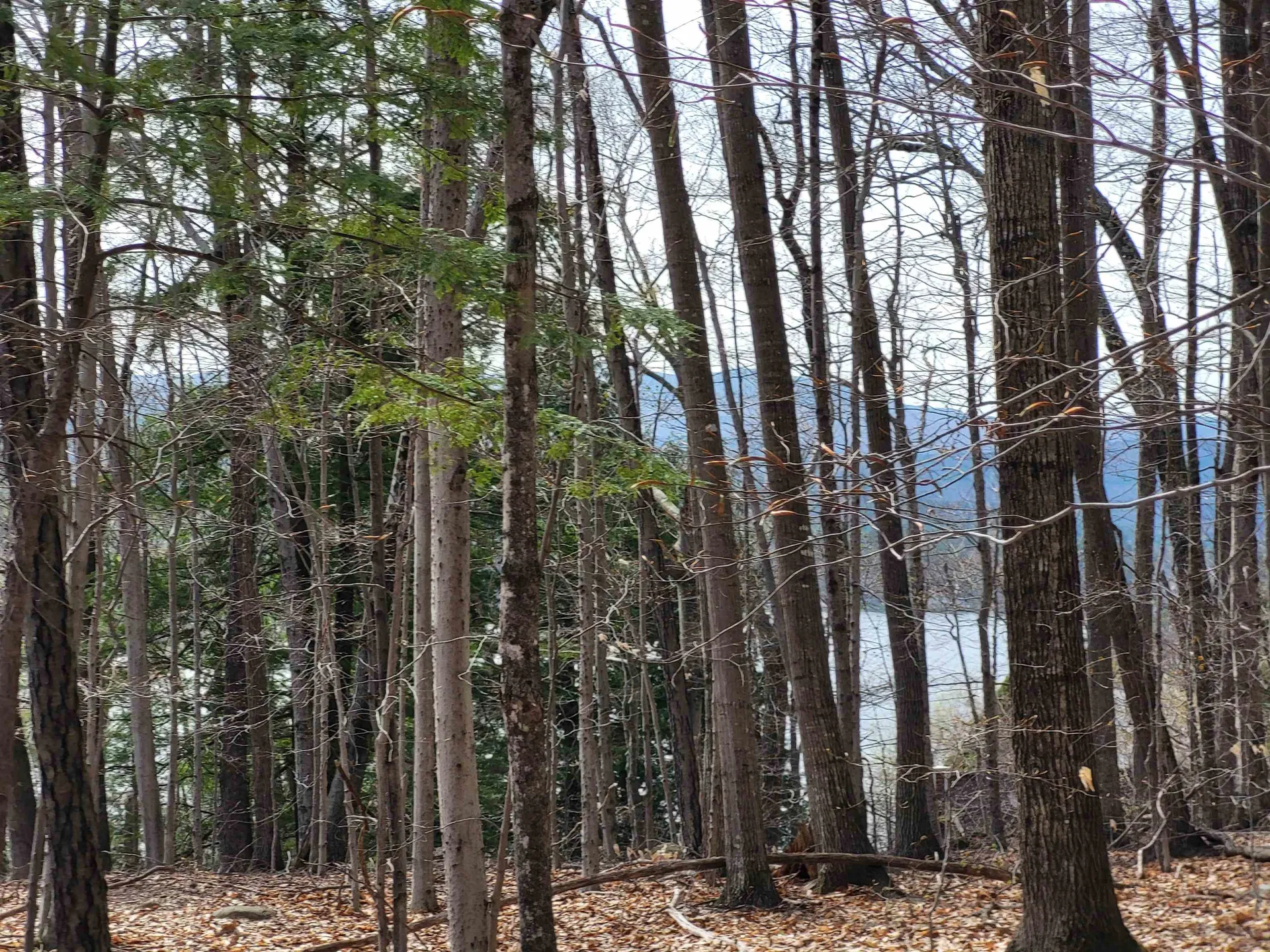 Lot 45 Fox Run Bristol NH 03222