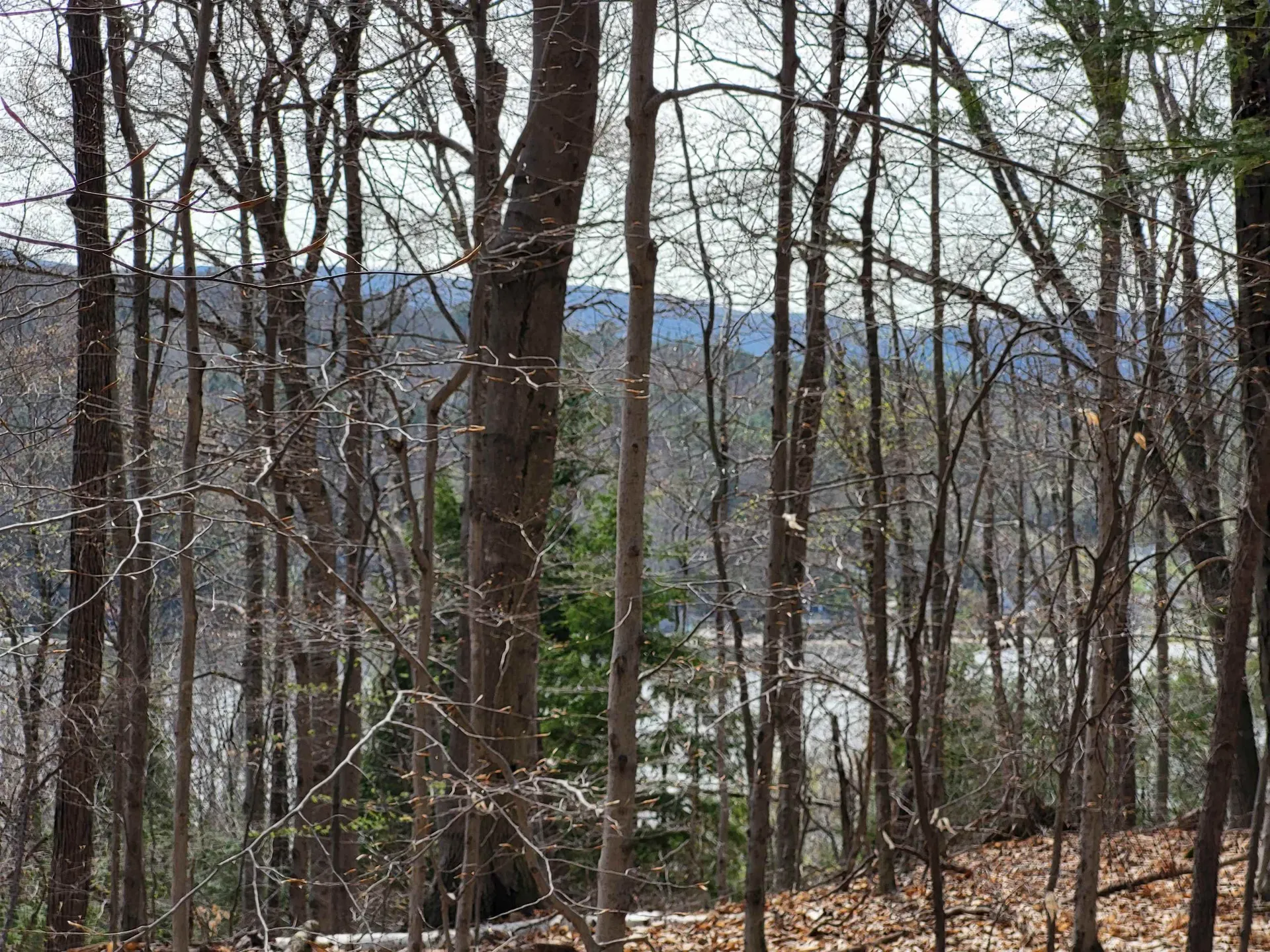 Lot 45 Fox Run Bristol NH 03222