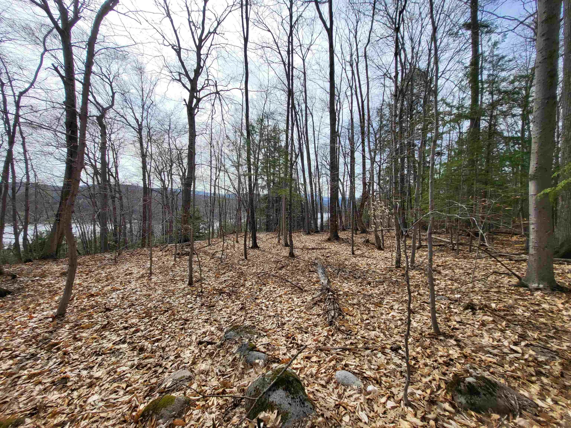 Lot 45 Fox Run Bristol NH 03222