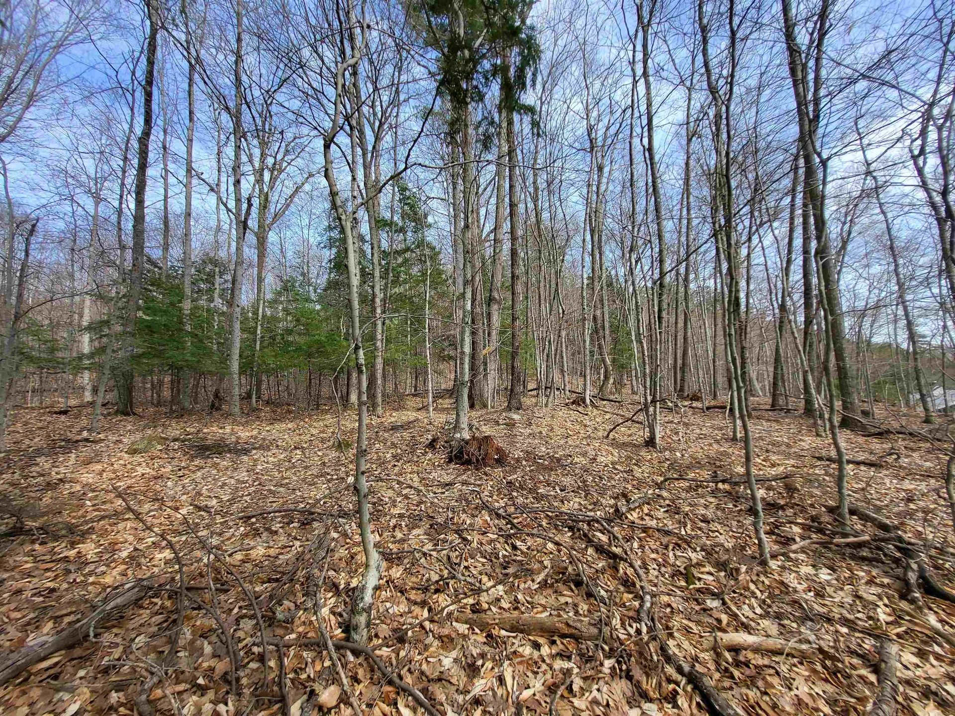 Lot 45 Fox Run Bristol NH 03222