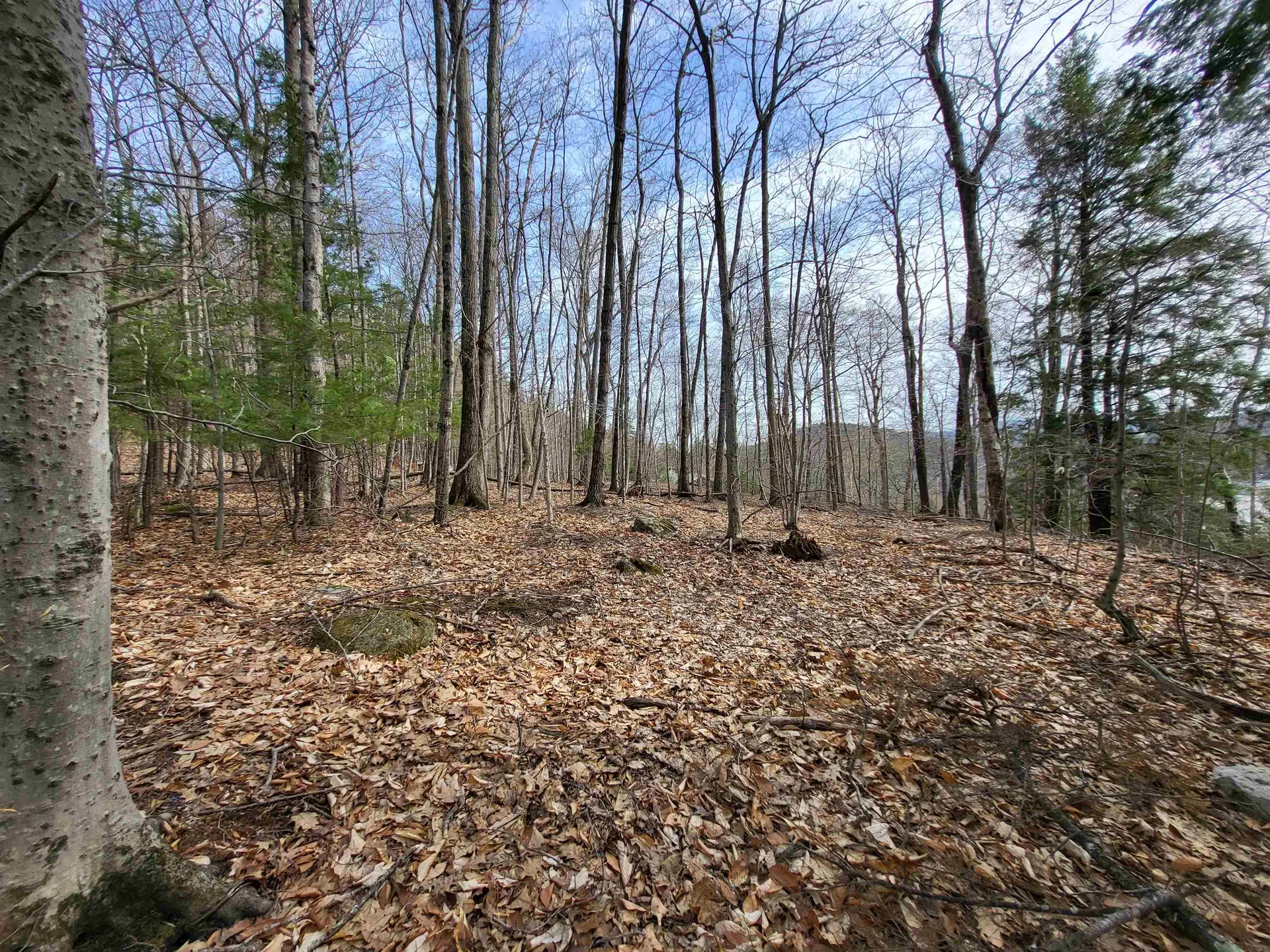 Lot 45 Fox Run Bristol NH 03222