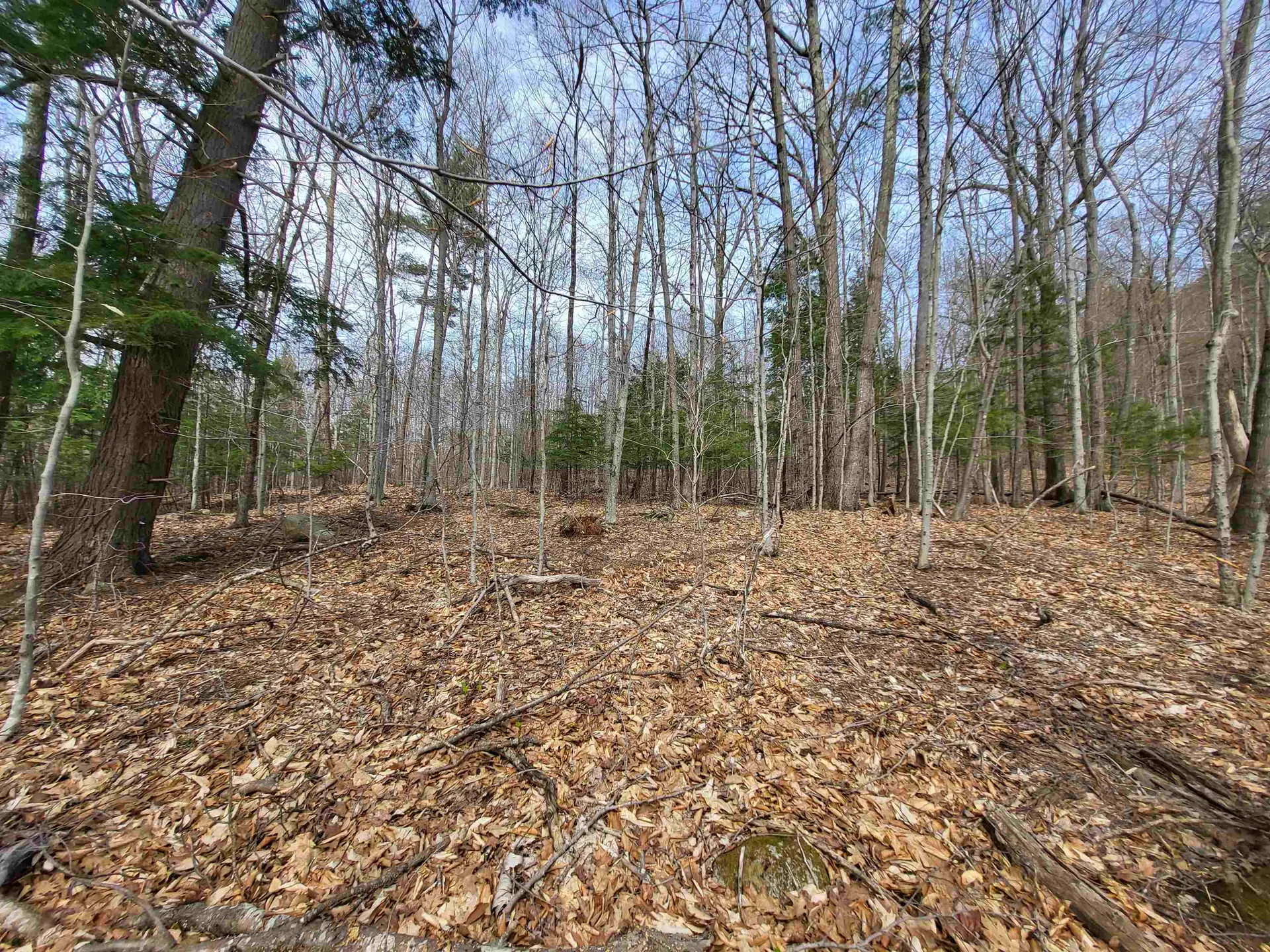 Lot 45 Fox Run Bristol NH 03222