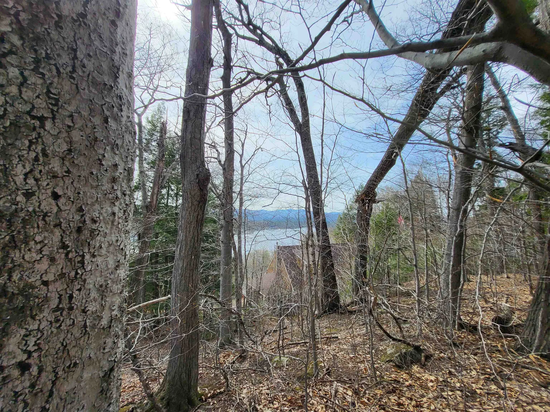 Lot 45 Fox Run Bristol NH 03222