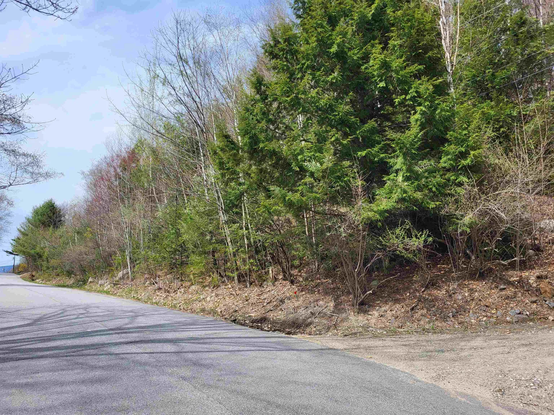 Lot 45 Fox Run Bristol NH 03222