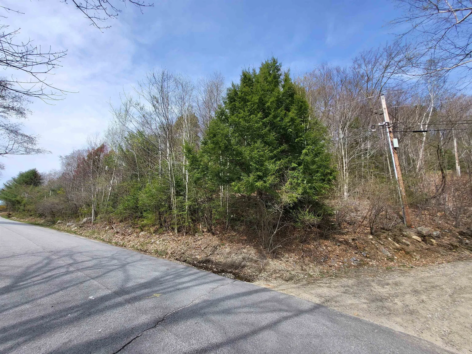 Lot 45 Fox Run Bristol NH 03222